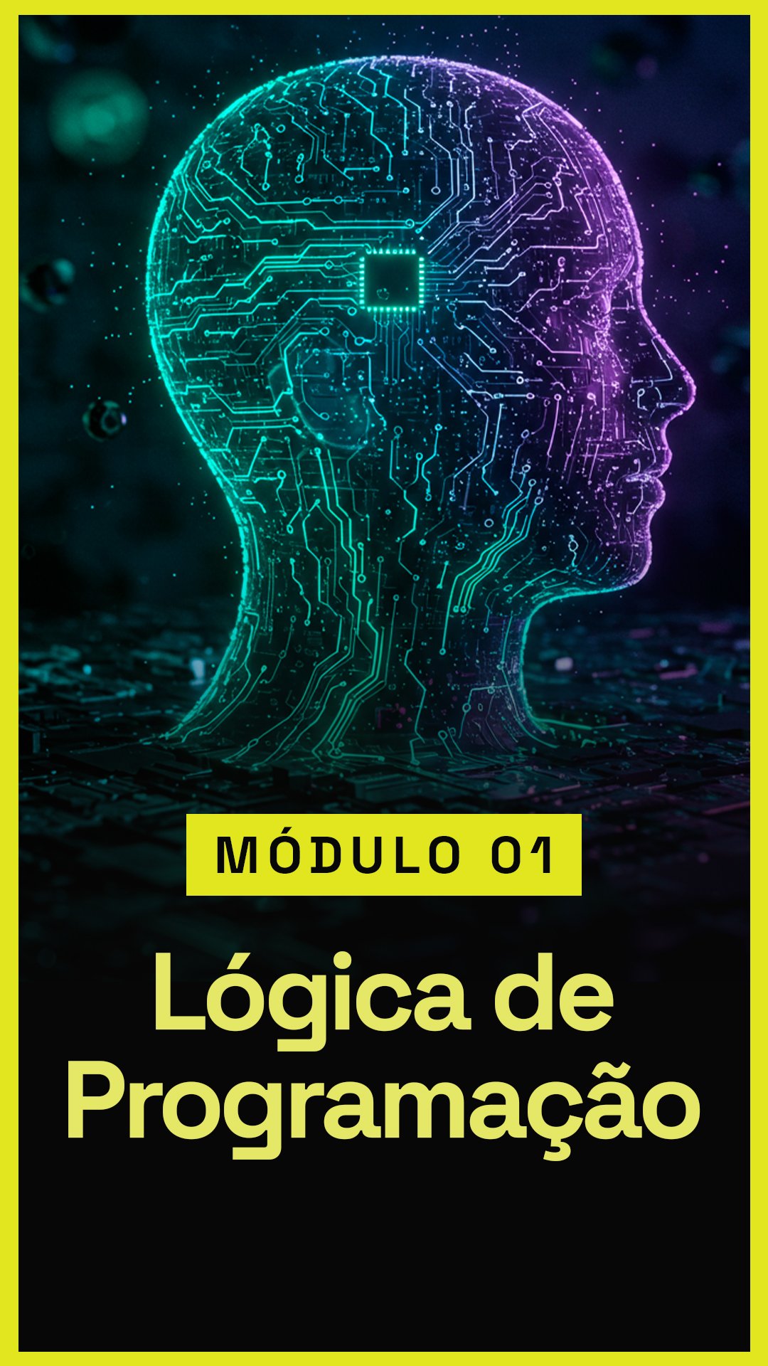 MÓDULO 01